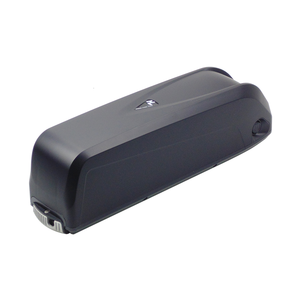 Hailong Lithium Ebike Battery  - đánh giá và giá Ebike Battery 48V 20Ah Hailong