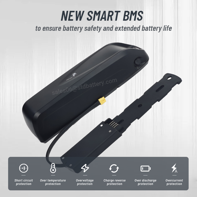 Hailong EBike Battery 36V 48V  - đánh giá và giá Ebike Battery 48V 20Ah Hailong