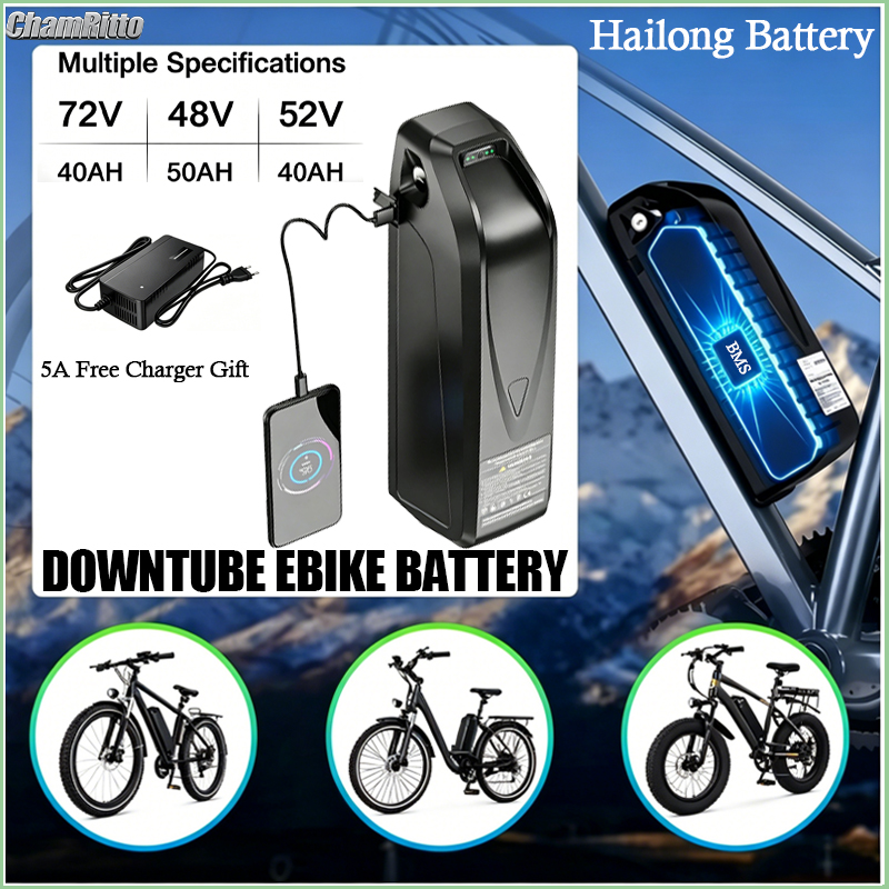 Electric Bike Battery Hailong  - đánh giá và giá Ebike Battery 48V 20Ah Hailong